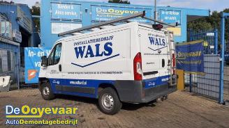 Vrakbiler auto Fiat Ducato Ducato (250), Van, 2006 2.3 D 130 Multijet 2017/1