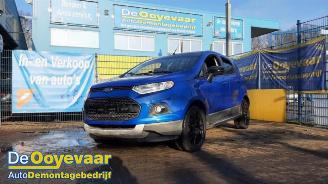 Ford EcoSport EcoSport (JK8), SUV, 2013 1.0 EcoBoost 12V 125 picture 5