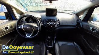 Ford EcoSport EcoSport (JK8), SUV, 2013 1.0 EcoBoost 12V 125 picture 2