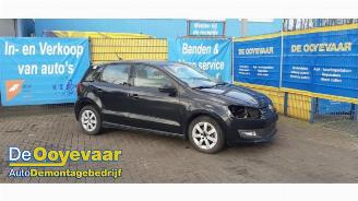 demontáž osobní automobily Volkswagen Polo Polo V (6R), Hatchback, 2009 / 2017 1.2 TDI 12V BlueMotion 2012/3