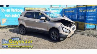 Ford EcoSport EcoSport (JK8), SUV, 2013 1.0 EcoBoost 12V 125 picture 5
