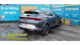Cupra Formentor Formentor, SUV, 2020 2.0 TSI 16V 4Drive picture 4