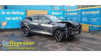 Cupra Formentor Formentor, SUV, 2020 2.0 TSI 16V 4Drive picture 5