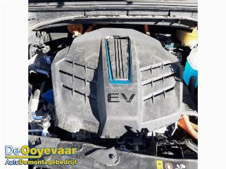 Kia Niro Niro I (DE), SUV, 2016 / 2022 E-Niro 64 kWh picture 3