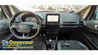 Ford EcoSport EcoSport (JK8), SUV, 2013 1.0 EcoBoost 12V 125 picture 2