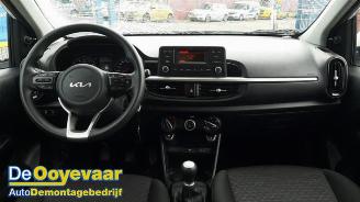Kia Picanto Picanto (JA), Hatchback, 2017 1.0 DPI 12V picture 2