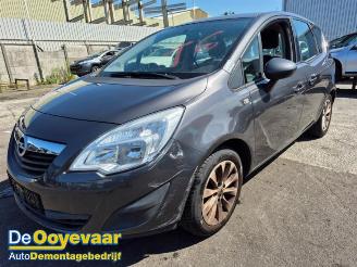 Opel Meriva Meriva, MPV, 2010 / 2017 1.4 16V Ecotec picture 1