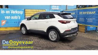 Sloopauto Opel Grandland Grandland (X), SUV, 2017 1.2 Turbo 12V 2018/3