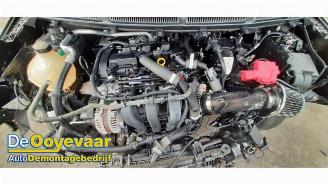 Ford Ka Ka+, Hatchback, 2016 1.2 picture 3