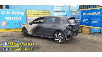Volkswagen Golf Golf VIII (CD1), Hatchback, 2019 2.0 GTI 16V picture 4