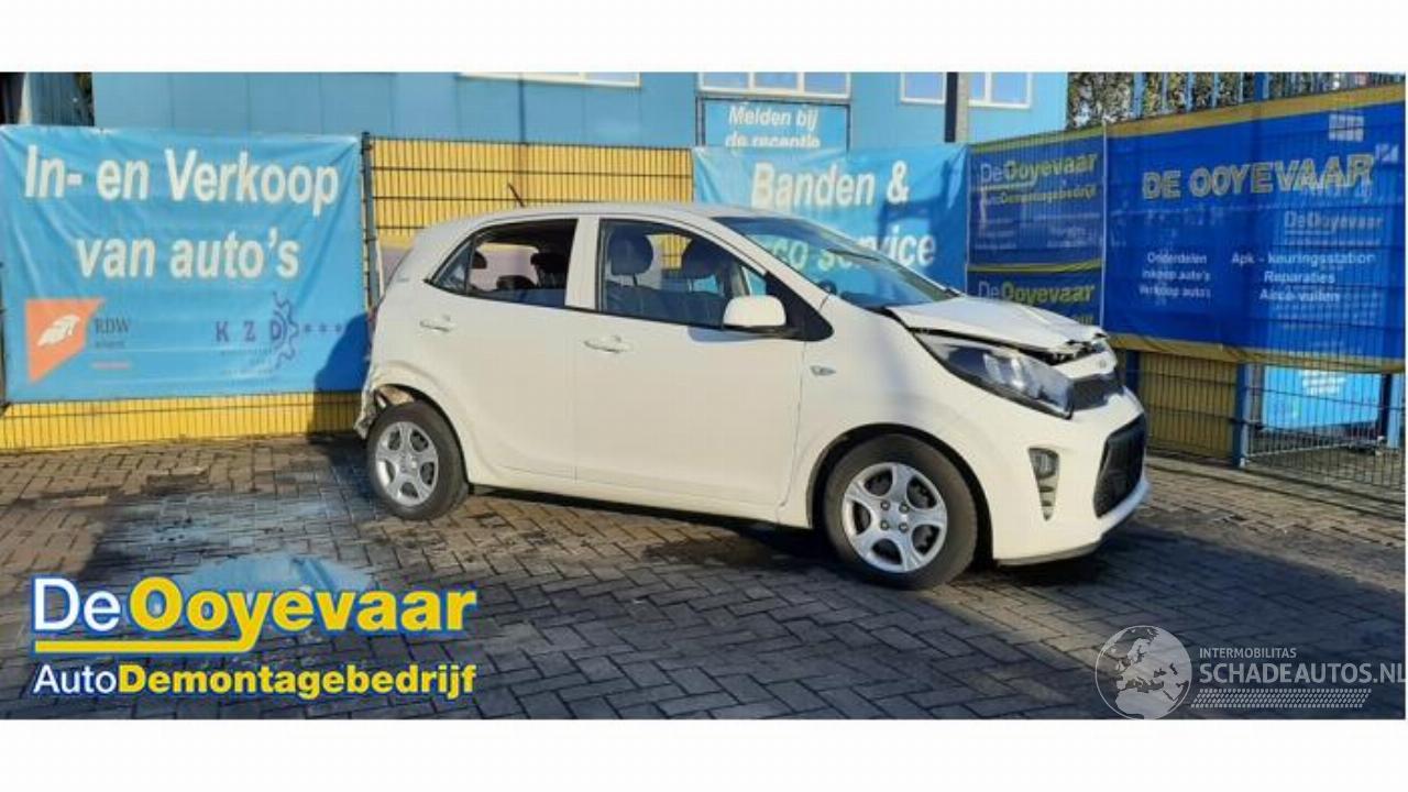 Kia Picanto Picanto (JA), Hatchback, 2017 1.0 DPi 12V