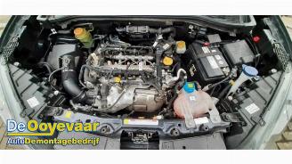 Fiat Doblo Doblo Cargo (263), Van, 2010 1.6 D Multijet picture 8