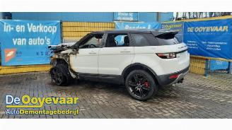 Land Rover Range Rover Evoque Range Rover Evoque (LVJ/LVS), SUV, 2011 / 2019 2.2 eD4 16V 5-drs. picture 3