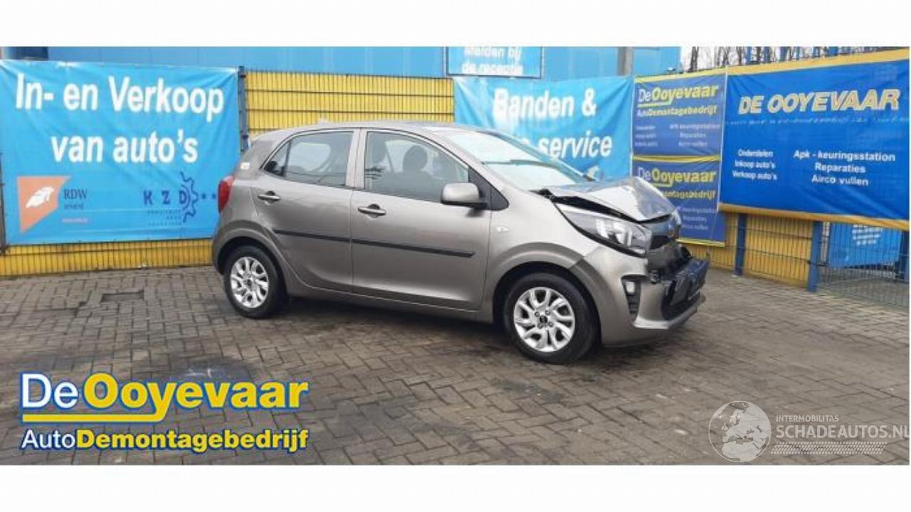 Kia Picanto Picanto (JA), Hatchback, 2017 1.0 12V