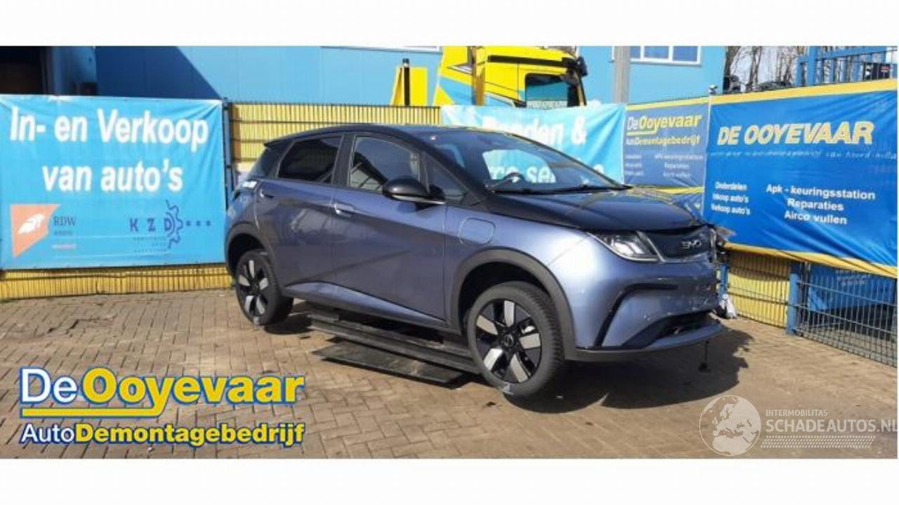 BYD Dolphin Dolphin, Hatchback 5-drs, 2021 60,4 kWh