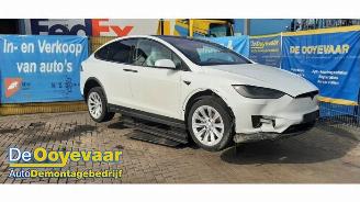 Dezmembrări autoturisme Tesla Model X Model X, SUV, 2013 / 2026 P100D 2017/6