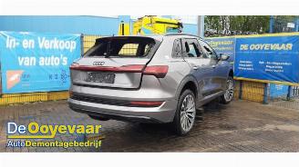 Audi E-tron e-tron (GEN), SUV, 2018 / 2023 55 quattro picture 2