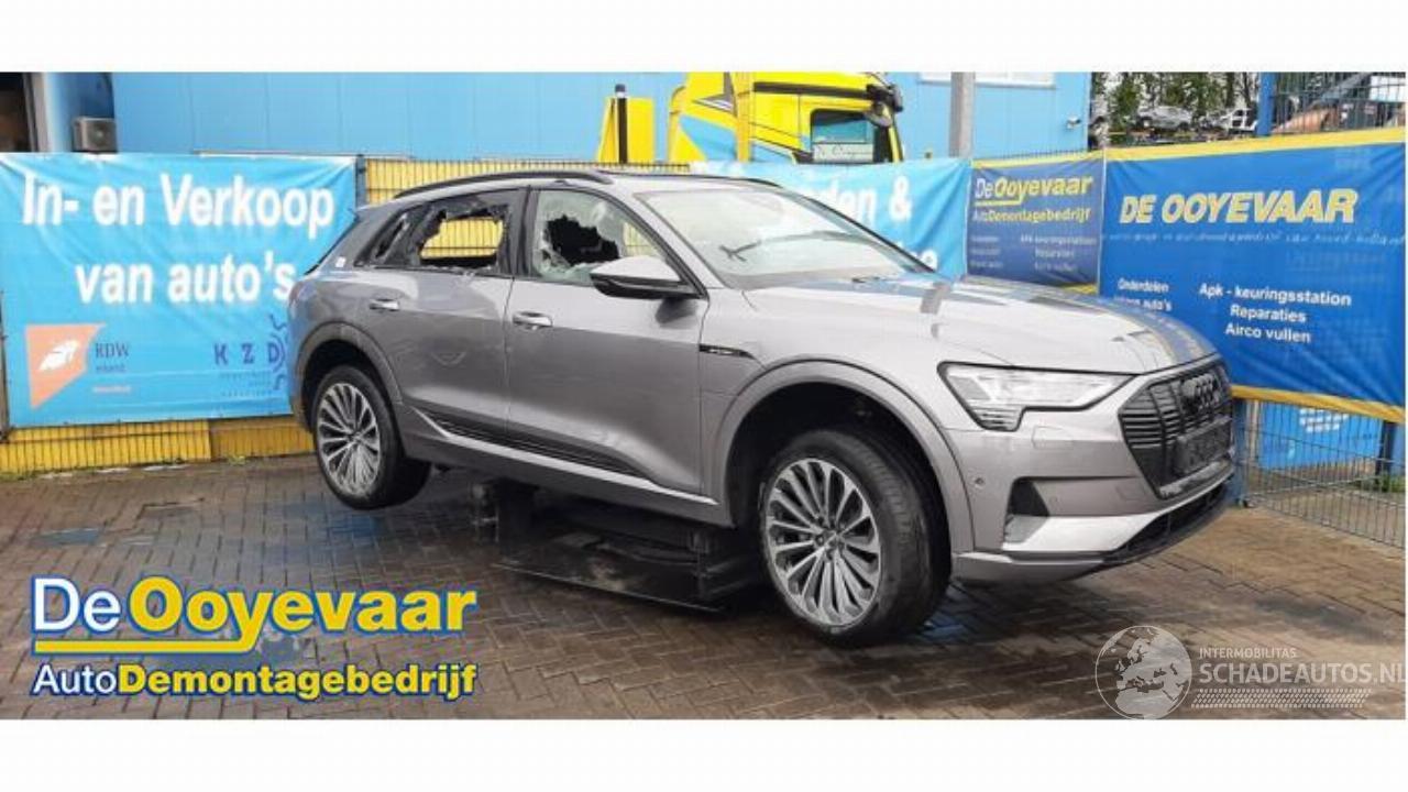 Audi E-tron e-tron (GEN), SUV, 2018 / 2023 55 quattro