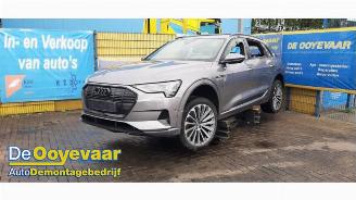 Audi E-tron e-tron (GEN), SUV, 2018 / 2023 55 quattro picture 4