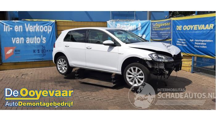 Volkswagen Golf Golf VII (AUA), Hatchback, 2012 / 2021 1.5 TSI Evo BlueMotion 16V