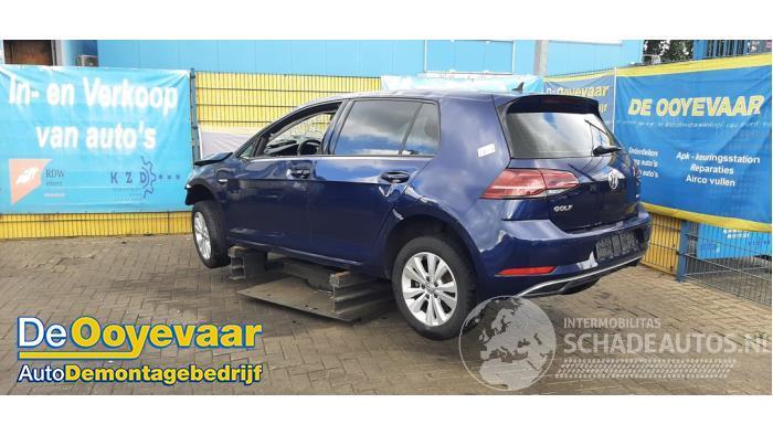 Volkswagen Golf Golf VII (AUA), Hatchback, 2012 / 2021 1.5 TSI Evo BlueMotion 16V