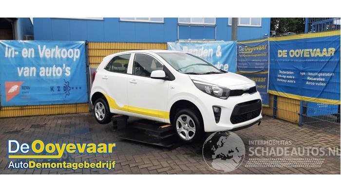 Kia Picanto Picanto (JA), Hatchback, 2017 1.0 DPi 12V