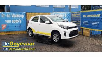 Vrakbiler auto Kia Picanto Picanto (JA), Hatchback, 2017 1.0 DPi 12V 2022/8