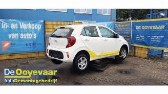 Kia Picanto Picanto (JA), Hatchback, 2017 1.0 DPi 12V picture 2