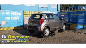 Kia Picanto Picanto (JA), Hatchback, 2017 1.0 12V picture 2