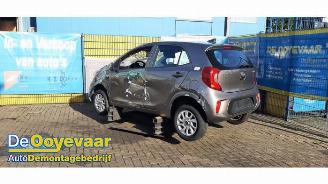 Kia Picanto Picanto (JA), Hatchback, 2017 1.0 12V picture 3