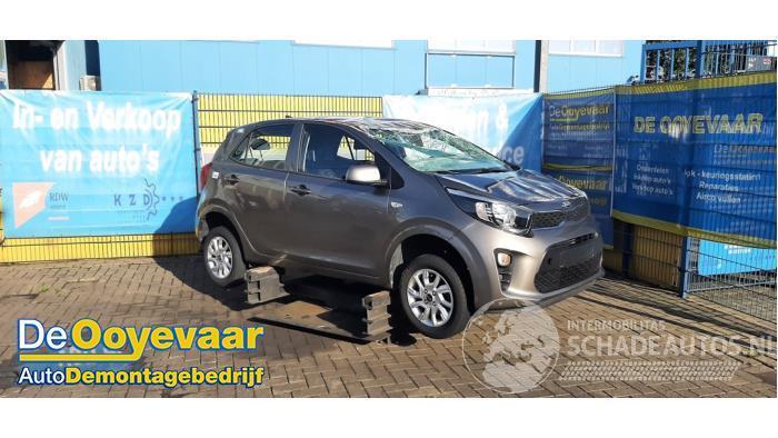 Kia Picanto Picanto (JA), Hatchback, 2017 1.0 12V