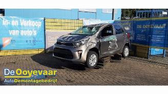 Kia Picanto Picanto (JA), Hatchback, 2017 1.0 12V picture 4