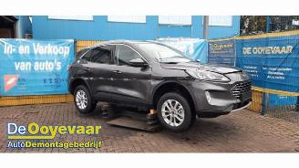 Vrakbiler auto Ford Kuga Kuga III (DFK), SUV, 2019 2.5 PHEV 16V 2021/8