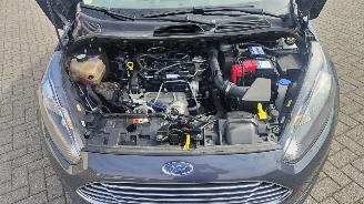 Ford Fiesta Ford Fiesta Trend top staat picture 12