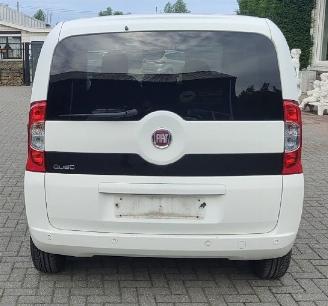 Fiat Qubo qubo pop moterschade picture 17