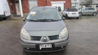 Vrakbiler auto Renault Scenic TECHNISCHE FICHE!! 2005/4