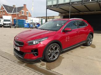Coche accidentado Kia Xceed  2020/1