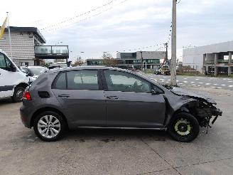 Volkswagen Golf  picture 5