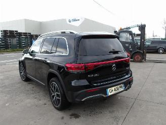 Mercedes EQB 350 picture 8