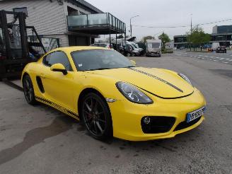Unfallwagen Porsche Cayman  2013/1