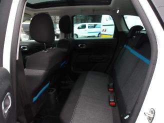 Citroën C3 Aircross RIP CURL picture 15