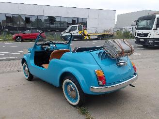 Fiat 500 JOLLY picture 7