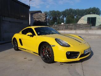 Unfallwagen Porsche Cayman  2013/1
