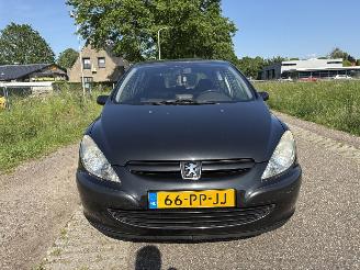 Peugeot 307 1.6-16V NAVTECH picture 12