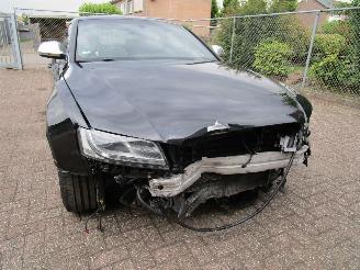 Audi S5 4.2 V8 Navi Clima picture 6