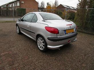 Peugeot 206 CC 1.6 Automaat Leder picture 2
