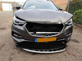 Opel Grandland X 1.2T Navi Camera Panodak 6-Bak picture 7