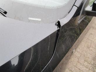 Skoda Rapid 1.2 TSI Navi Clima 6-Bak picture 10