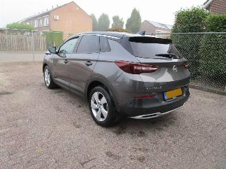 Opel Grandland X 1.2T Camera Navi Panodak picture 2