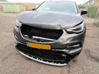 Opel Grandland X 1.2T Camera Navi Panodak picture 6